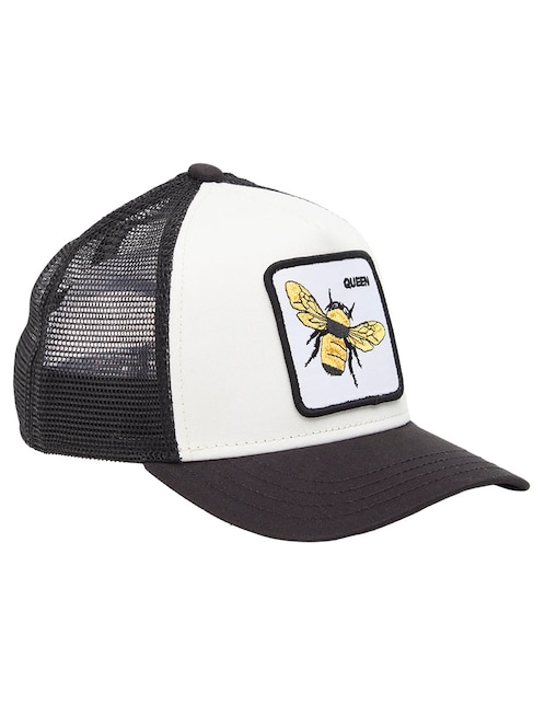 Gorra visera curva snapback Fall Winter infantil niño 1