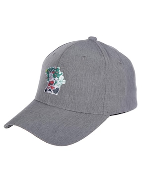Gorra visera curva cerrada Looney Tunes para niño