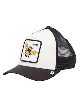 Gorra visera curva snapback Goorin Bros Fall Winter infantil niño