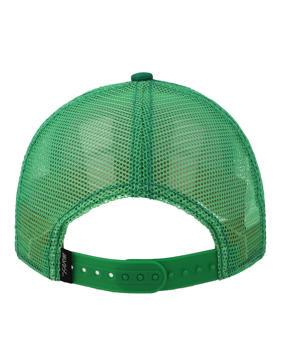 Gorra visera curva snapback para niño 3