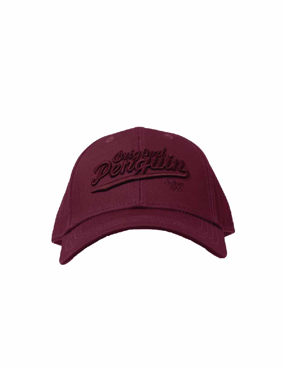 Gorra visera curva hebilla para niño 2