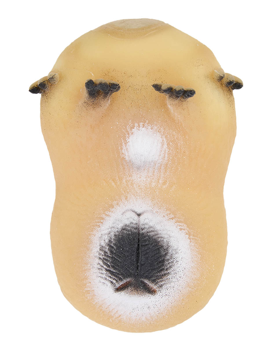 Squishy The Cuddly Cute One! 5