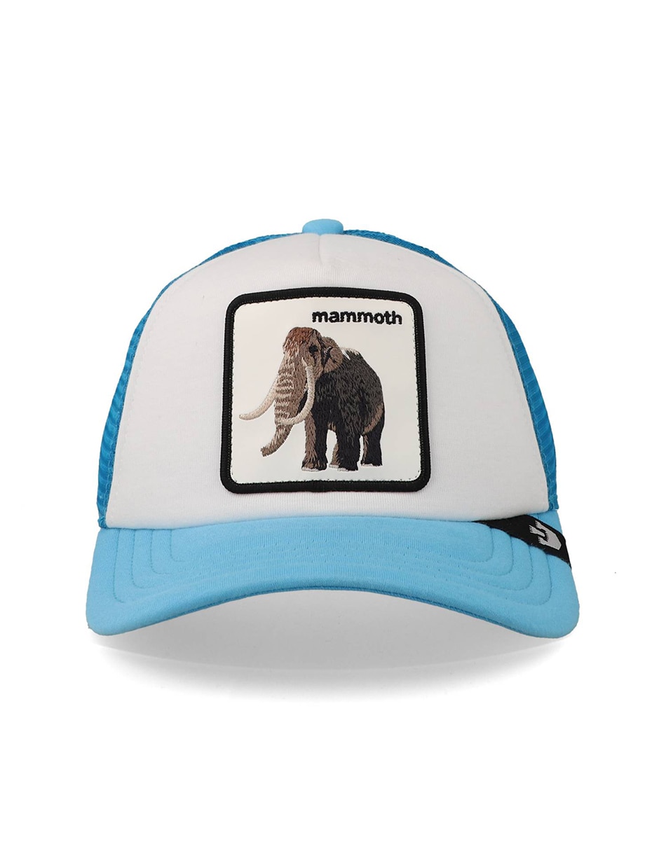 Gorra visera curva snapback unisex 3